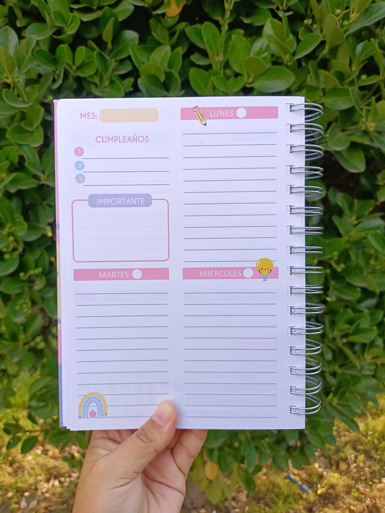 Planner Educadora de Párvulos 6