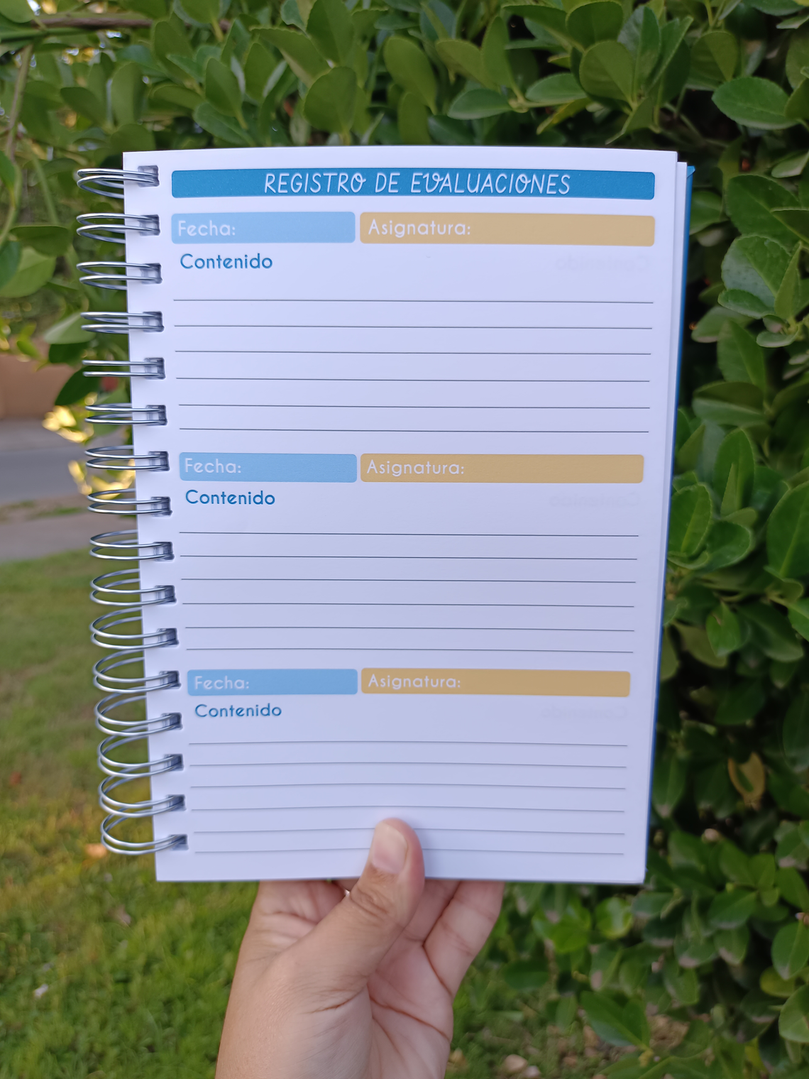 Planner Docente Hombre 5