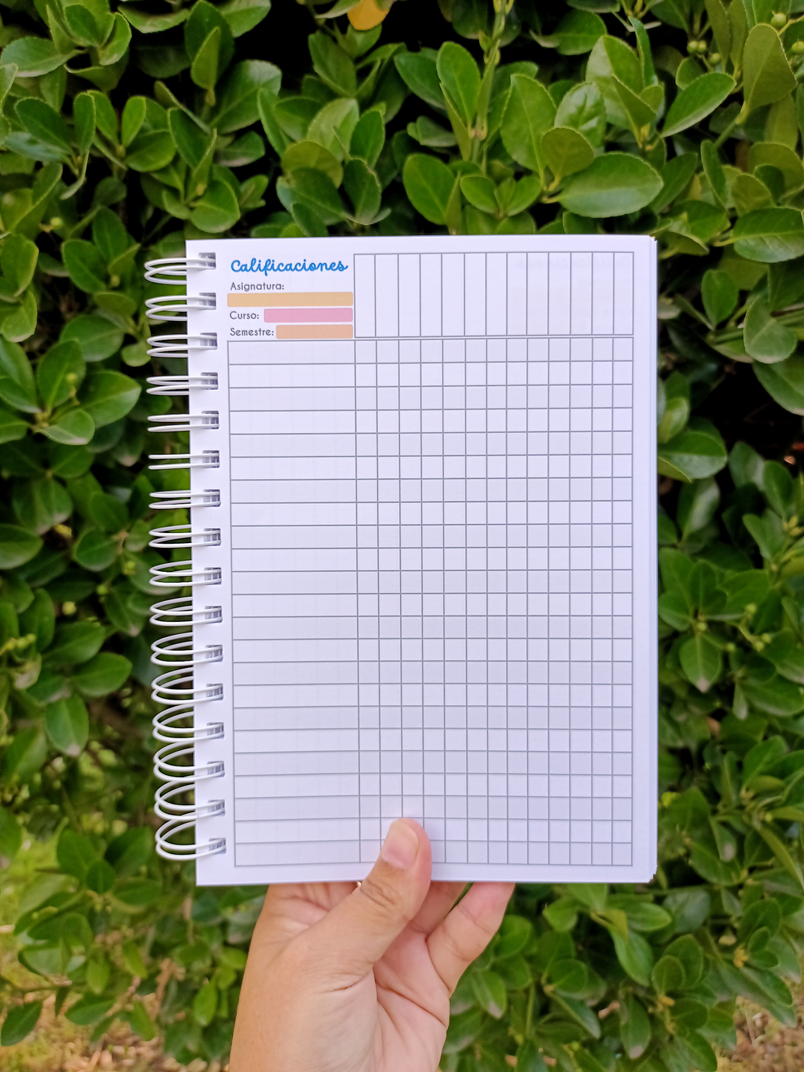 PLANNER DOCENTE MUJER 1 10