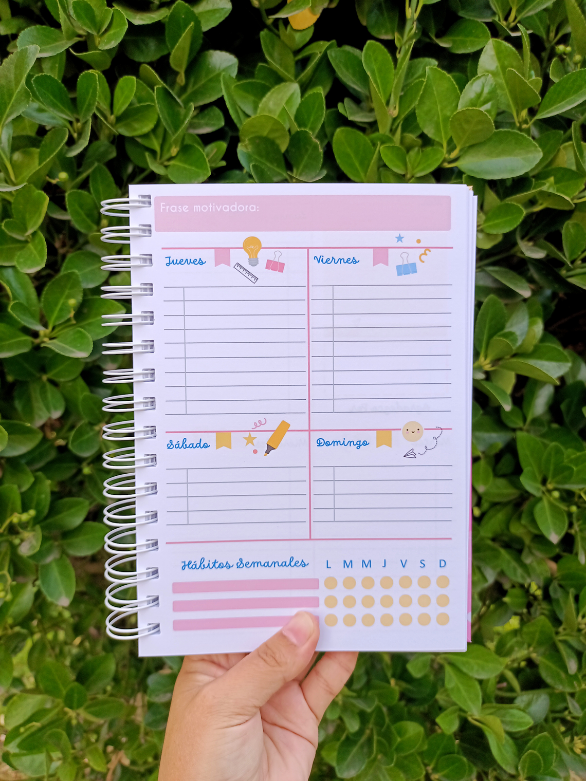 PLANNER DOCENTE MUJER 1 7