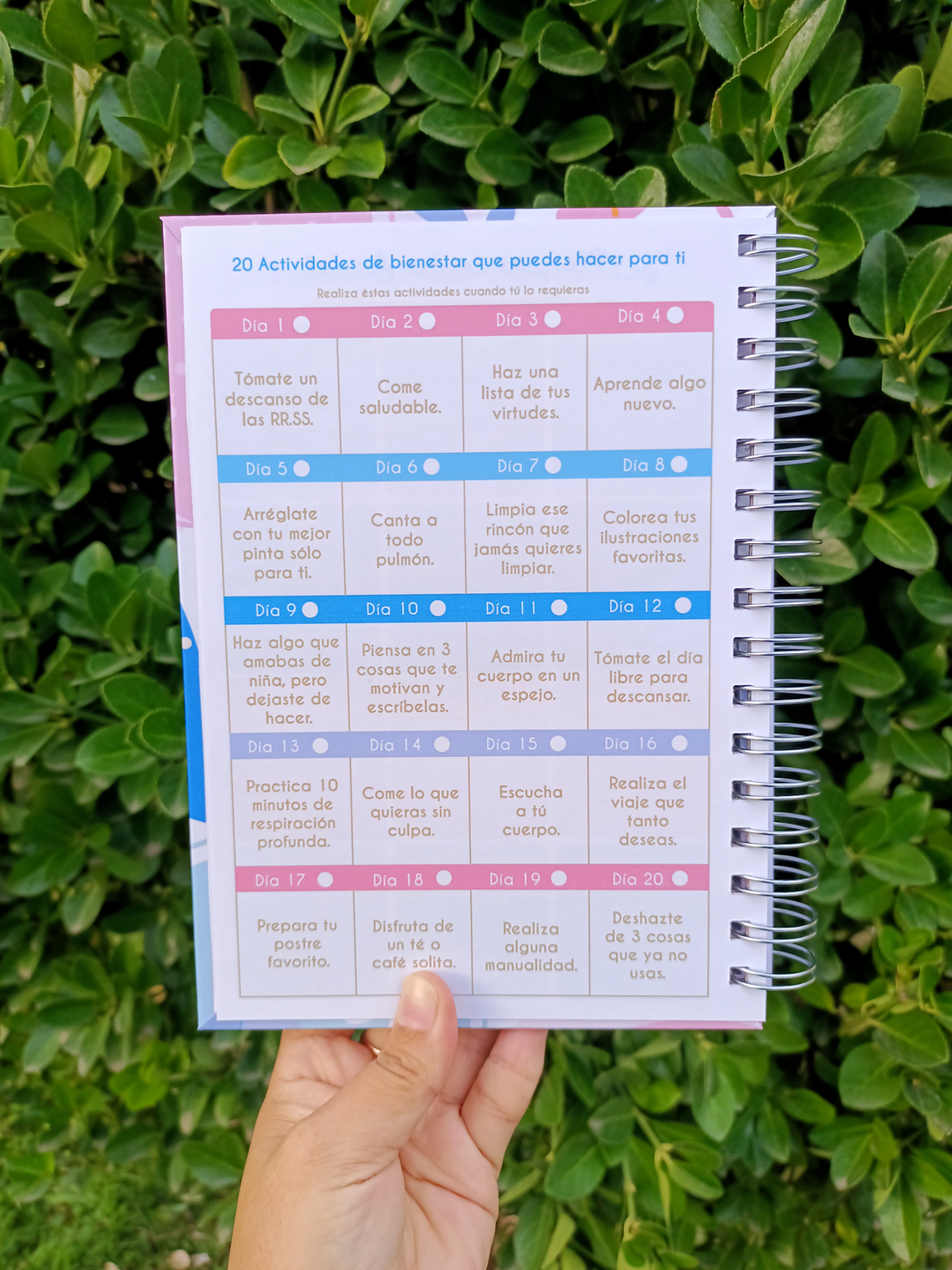 Cuaderno Planificador Serenidad 8