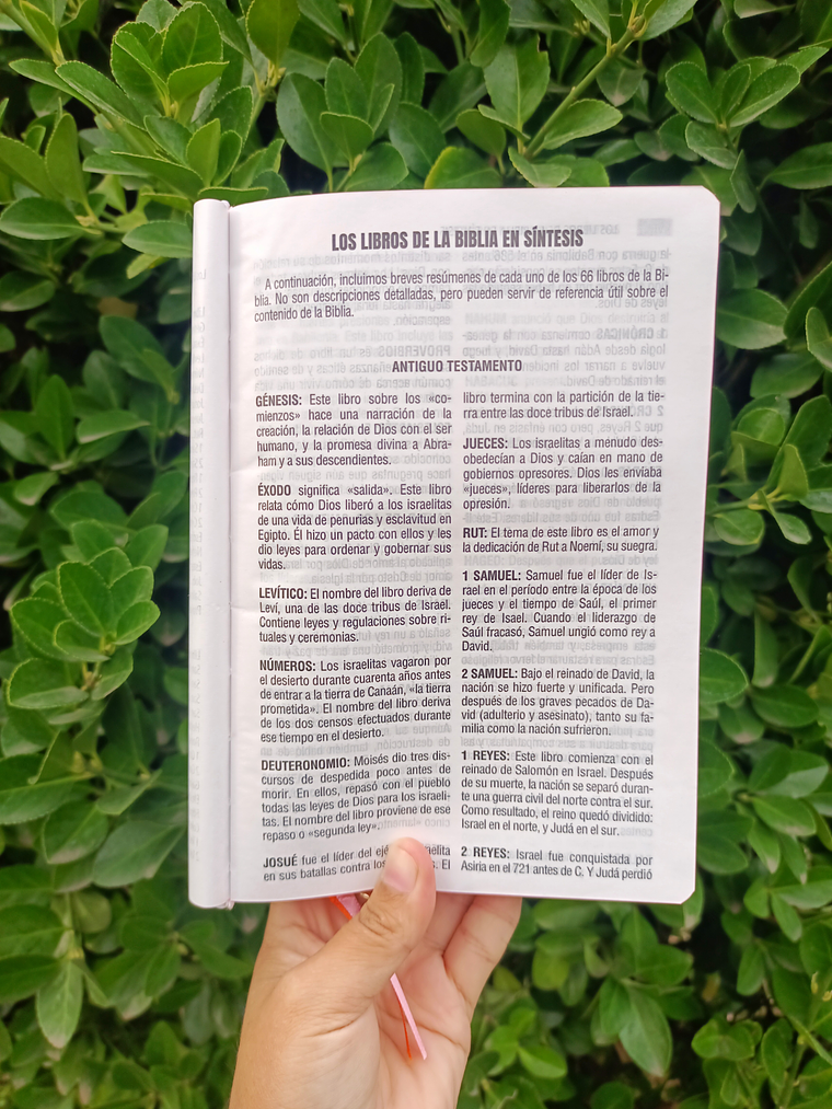 BIBLIA REINA VALERA 1960 FLOR 🌸 6