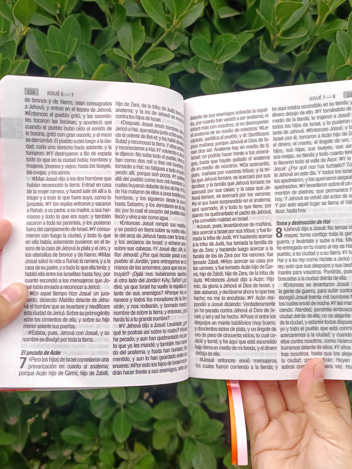 BIBLIA REINA VALERA 1960 FLOR 🌸 3