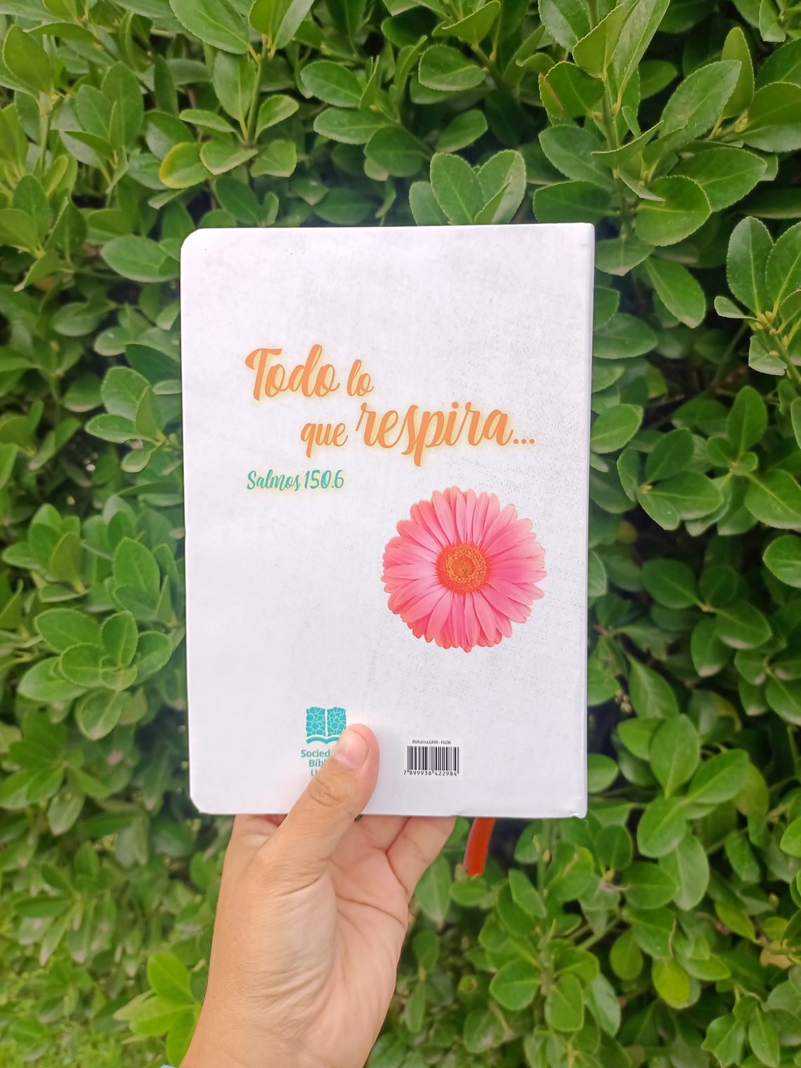 BIBLIA REINA VALERA 1960 FLOR 🌸 5