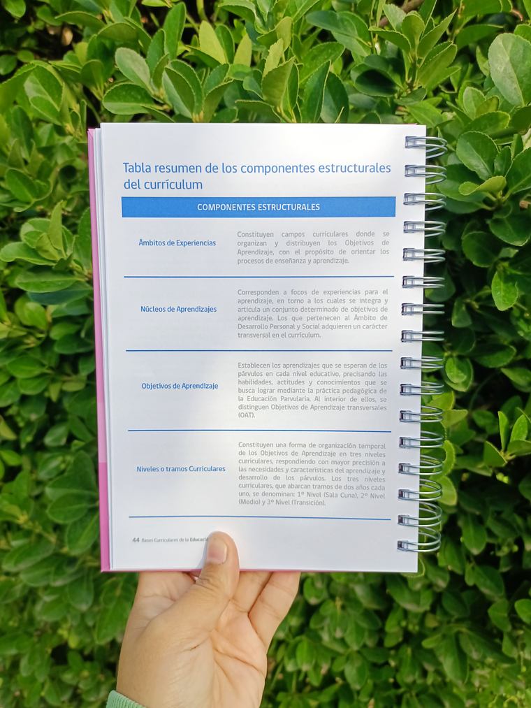 Bases Curriculares Educación Parvularia  5