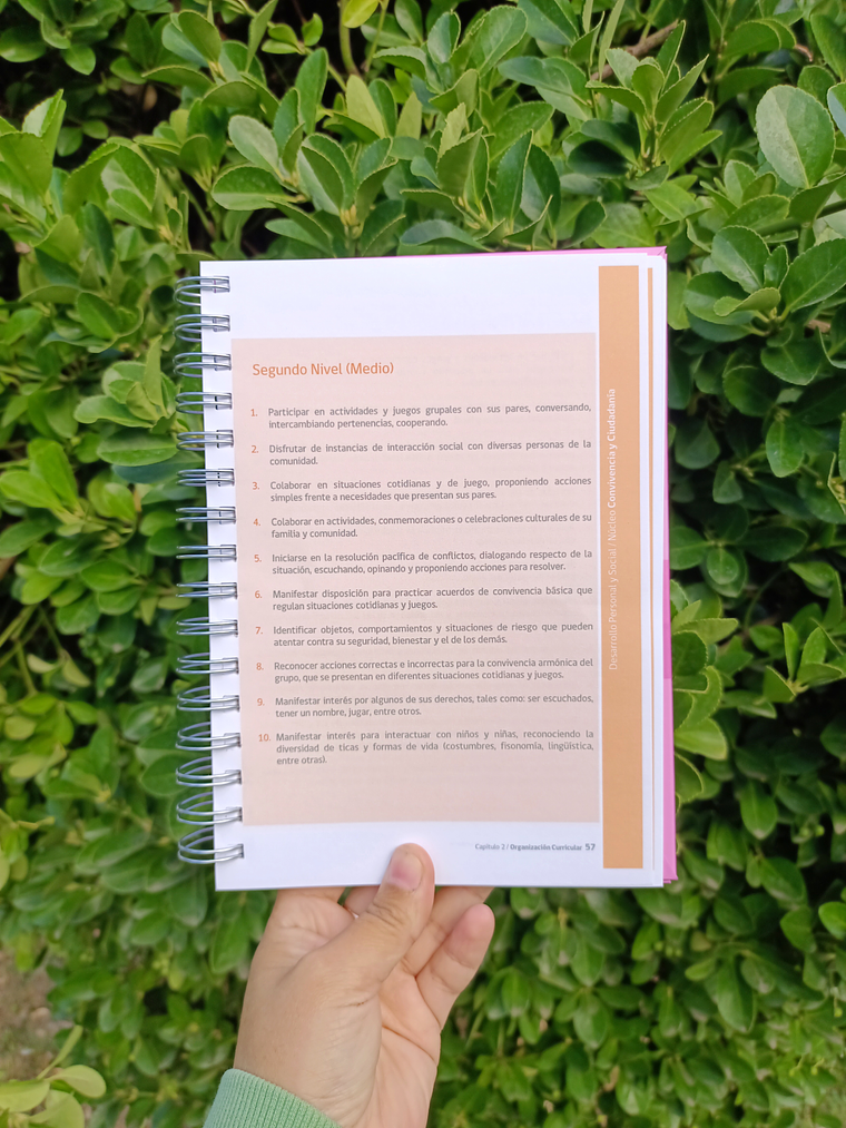 Bases Curriculares Educación Parvularia  6