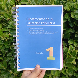 Bases Curriculares Educación Parvularia 