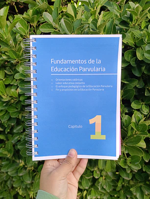 Bases Curriculares Educación Parvularia 