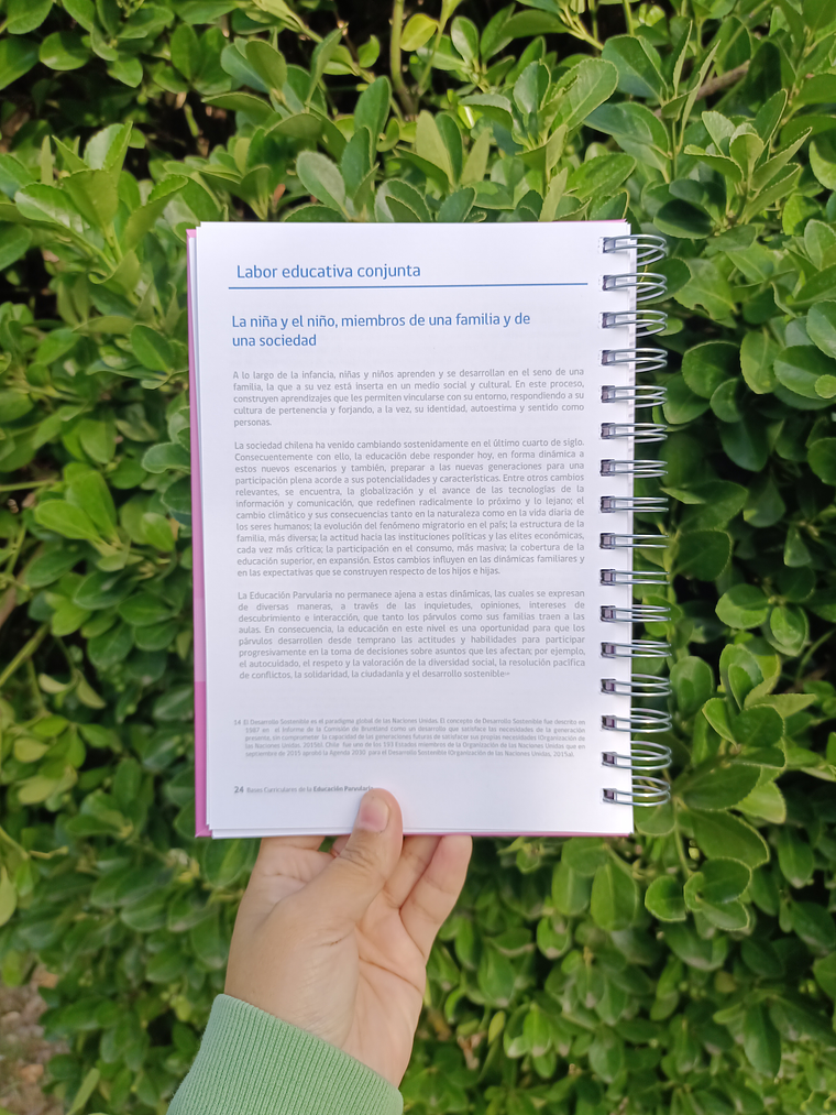 Bases Curriculares Educación Parvularia  3