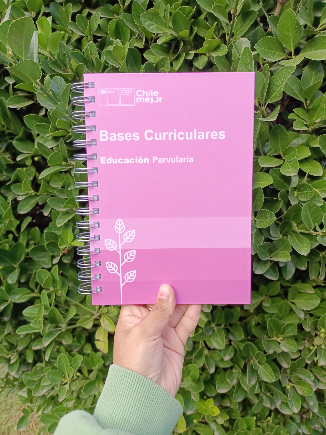 Bases Curriculares Educación Parvularia  1