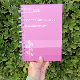 Bases Curriculares Educación Parvularia 