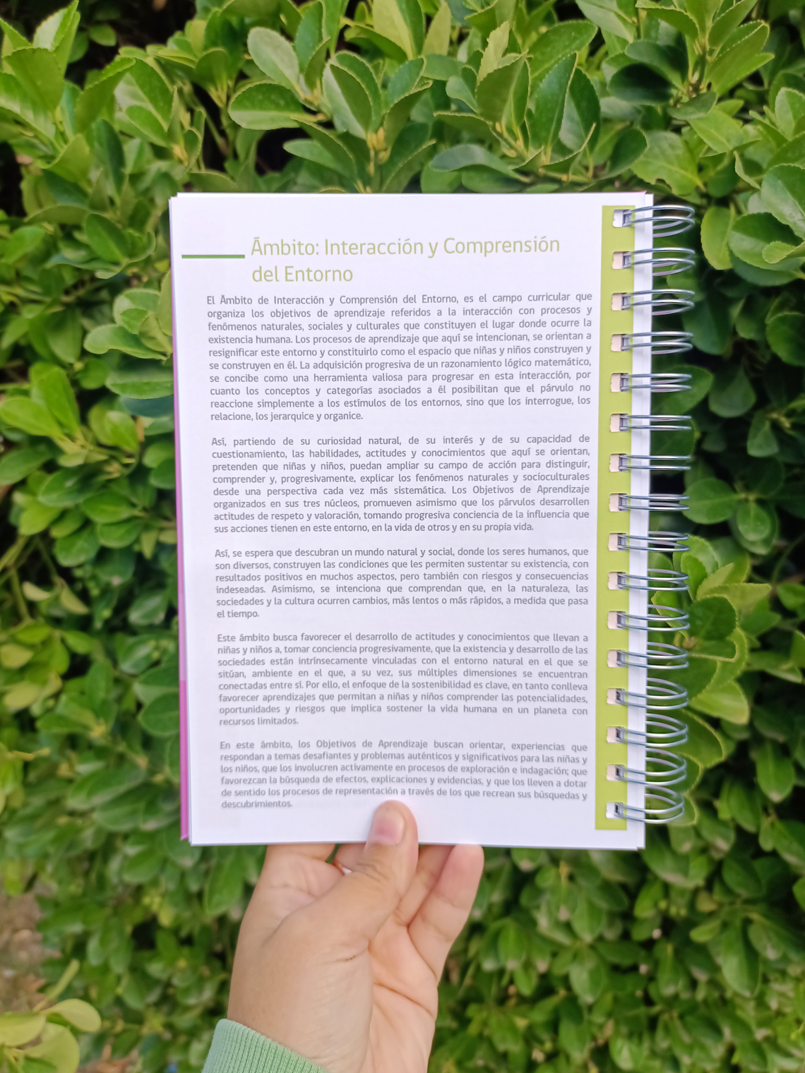 Bases Curriculares Educación Parvularia  4