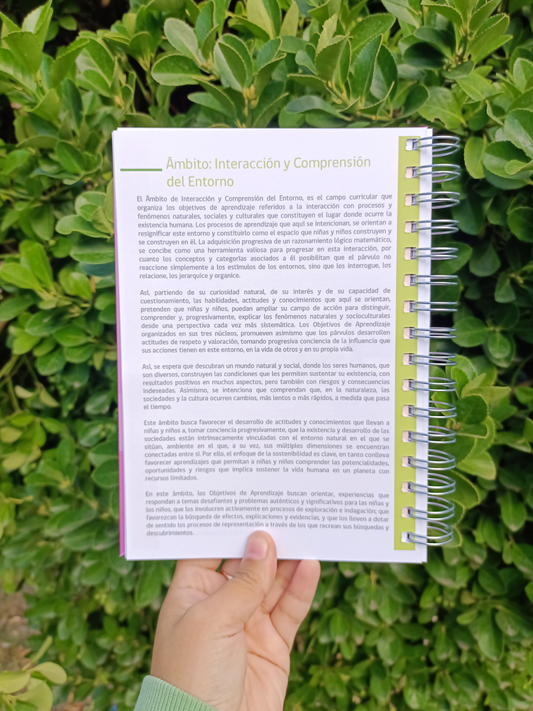 Bases Curriculares Educación Parvularia  4