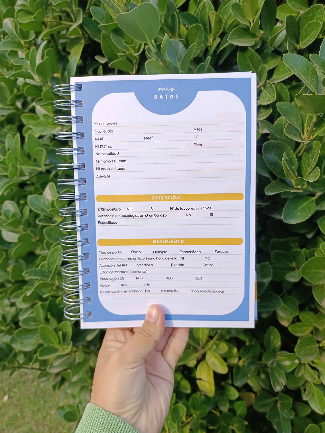 CUADERNO PEDIÁTRICO NIÑO 3