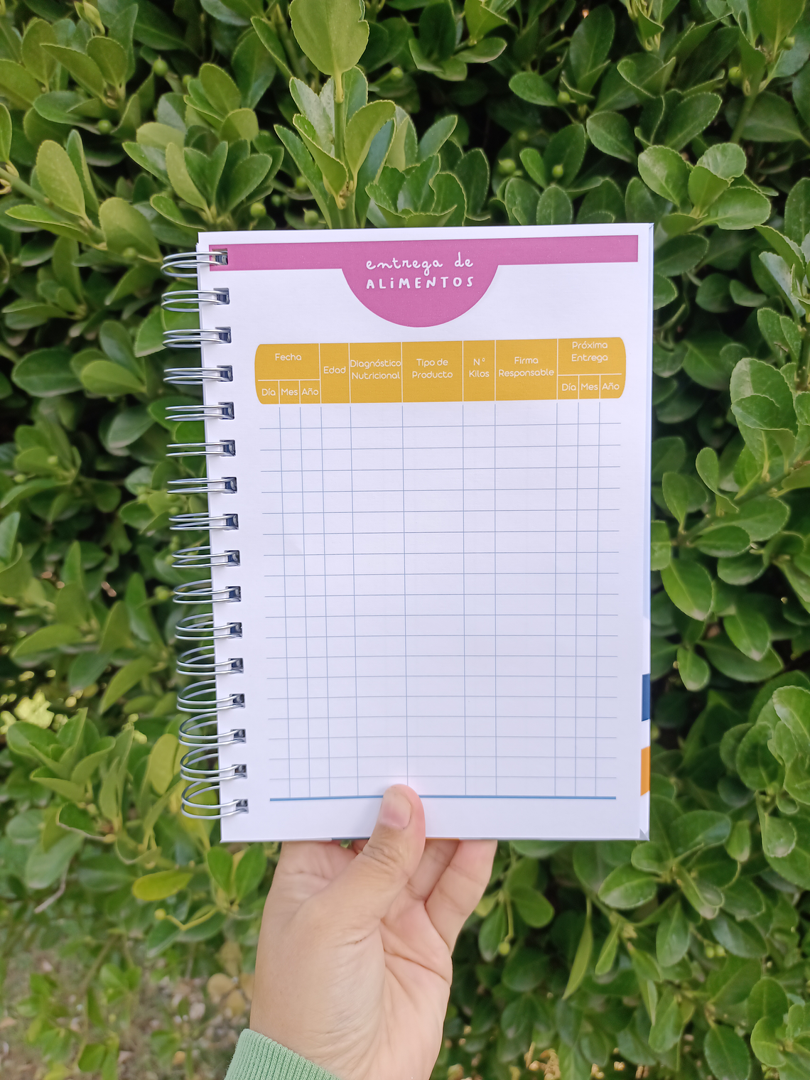 CUADERNO PEDIÁTRICO NIÑO 5