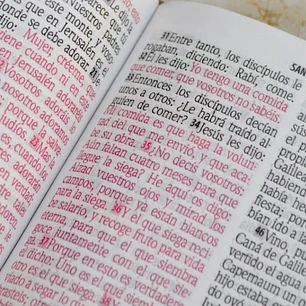 Biblia RV1960 diseño flores