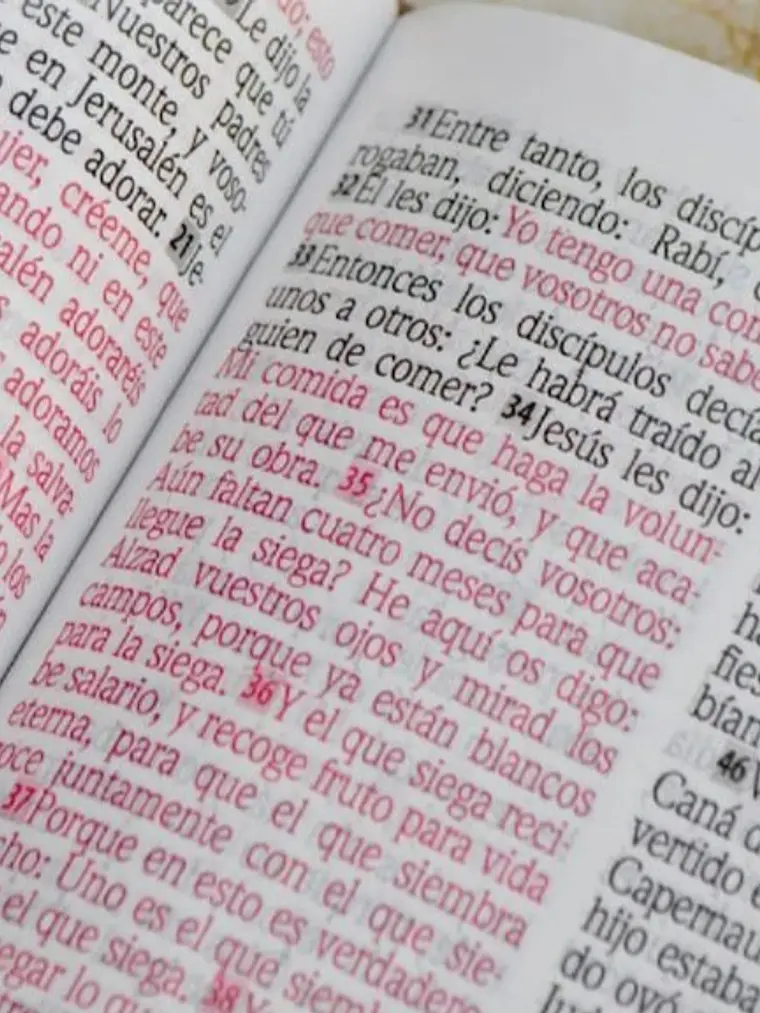 Biblia RV1960 diseño flores 2