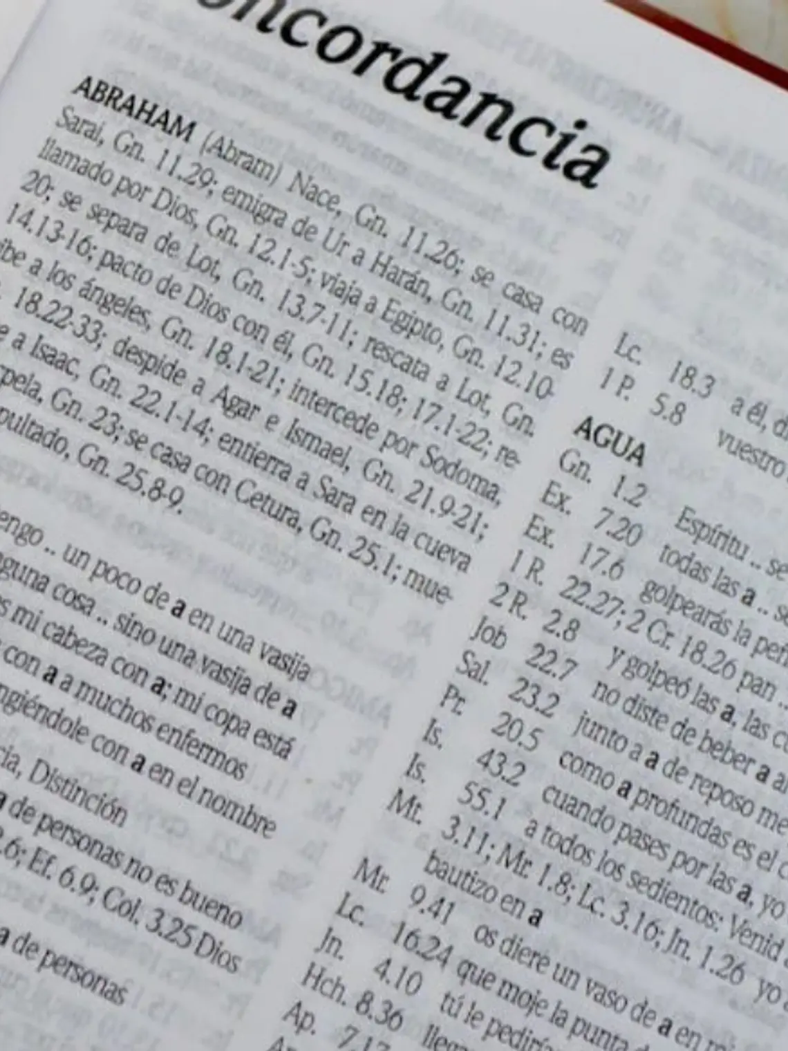 Biblia RV1960 diseño flores 4