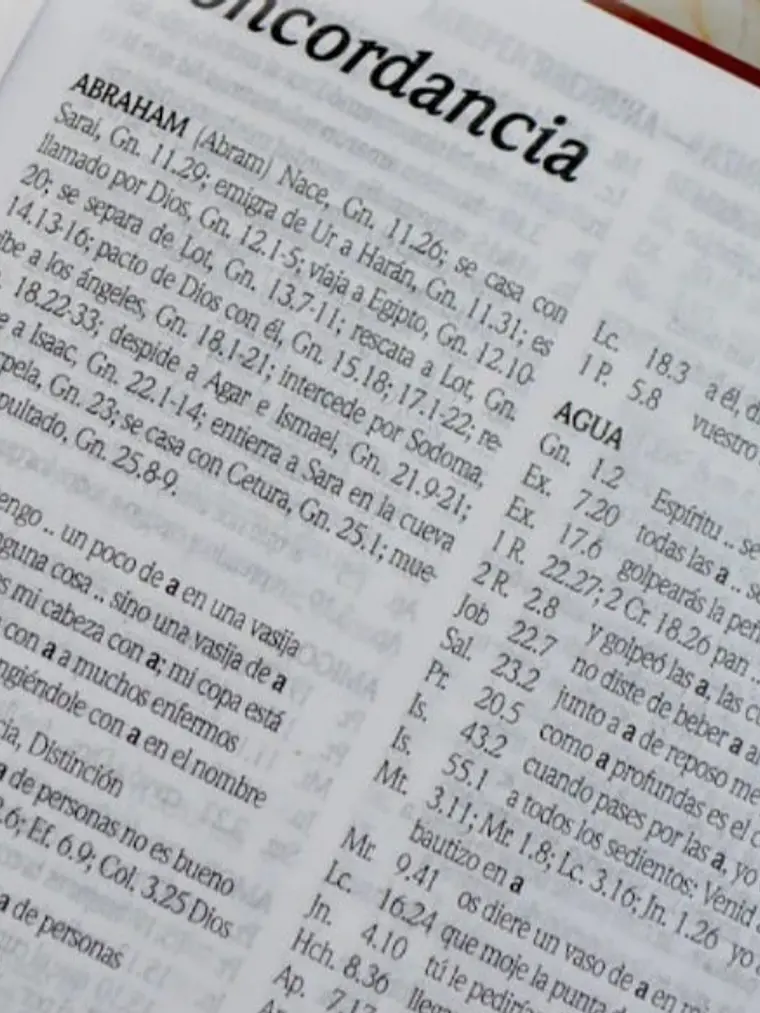Biblia RV1960 diseño flores 4