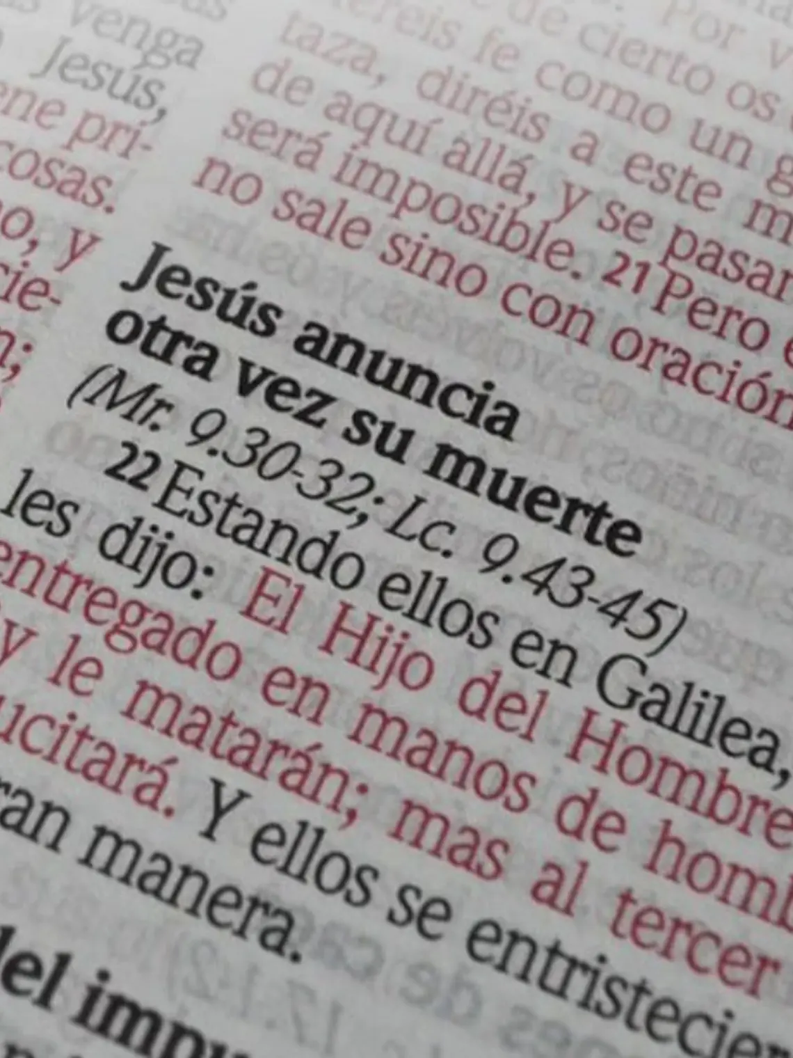 Biblia RV1960 diseño flores 3