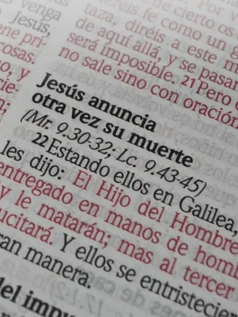 Biblia RV1960 diseño flores 3
