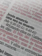 Biblia RV1960 diseño flores - Miniatura 3