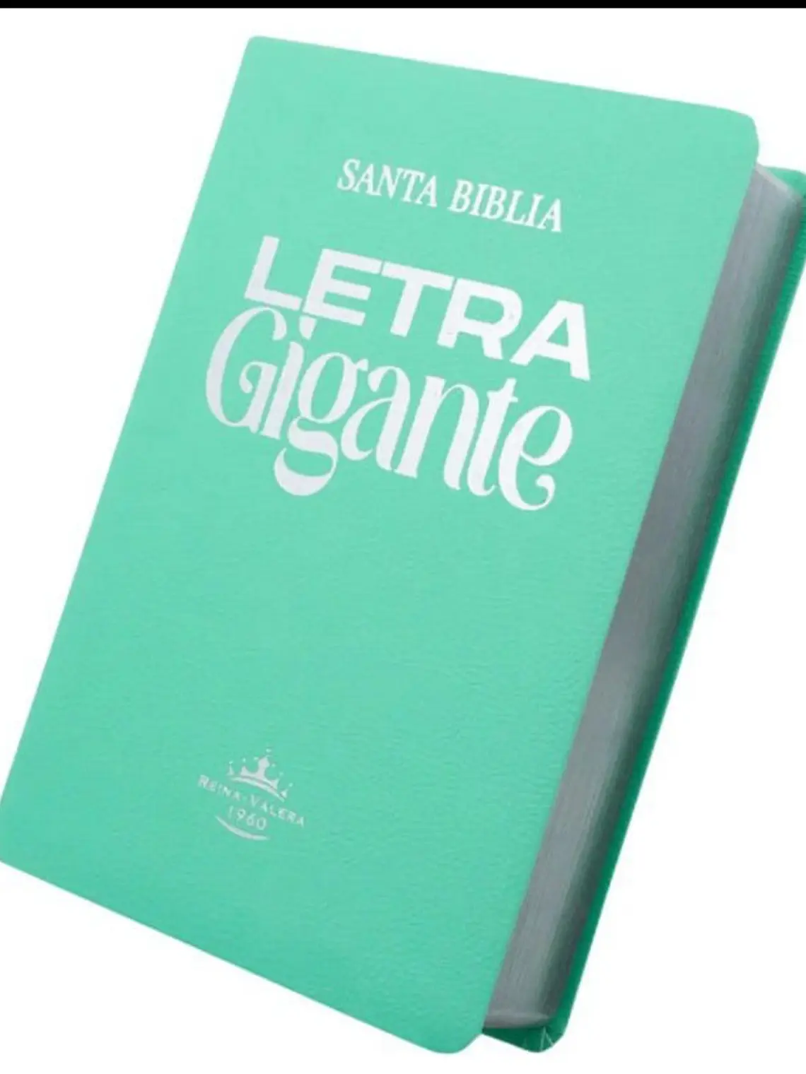 Biblia RV1960 Color Verde  1