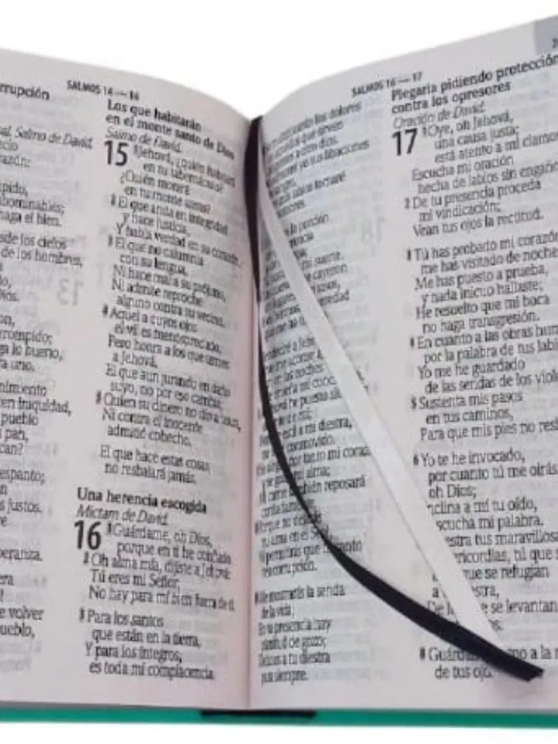 Biblia RV1960 Color Verde  3