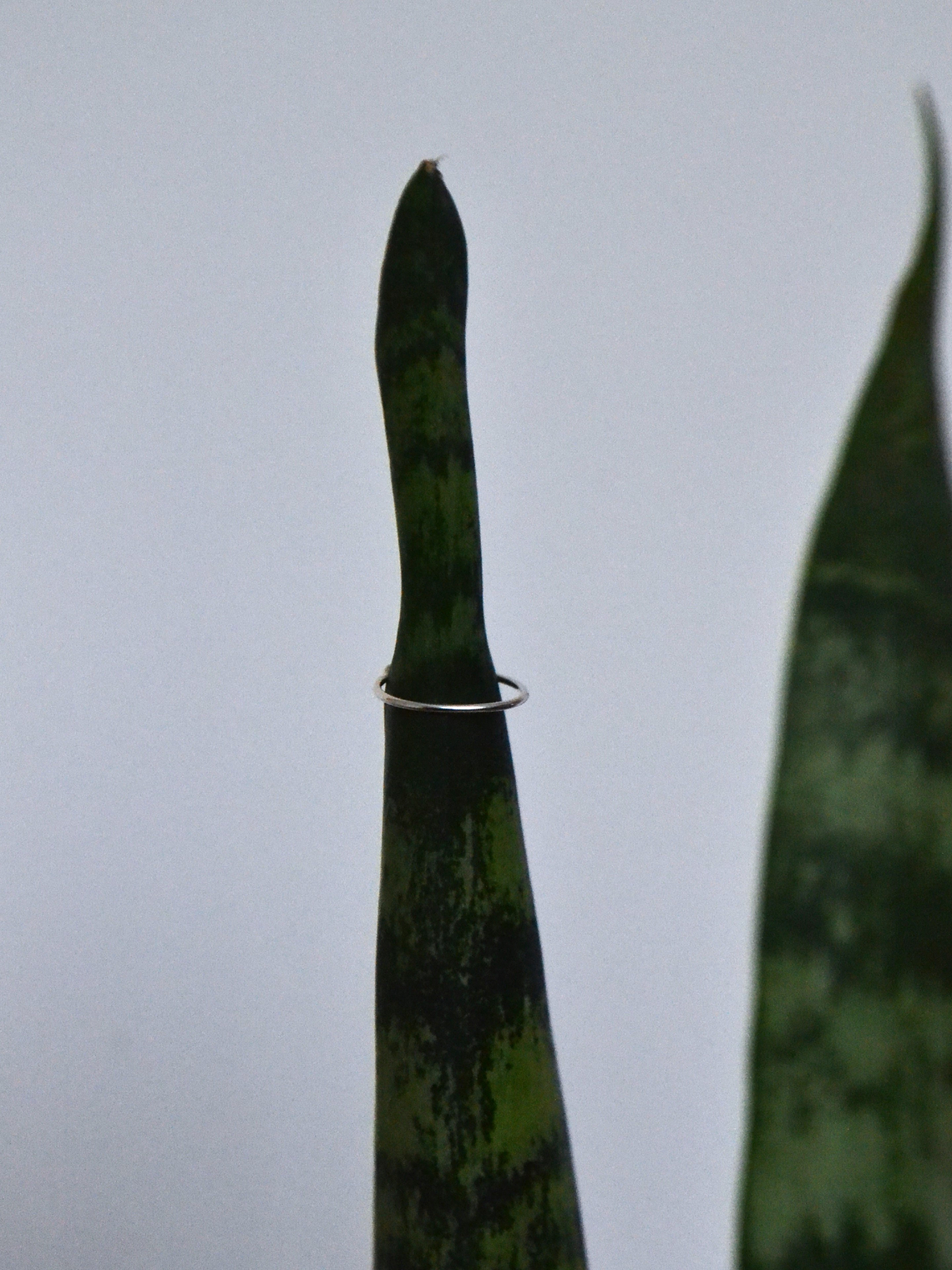 Argolla 12mm Bidu a Presión 1