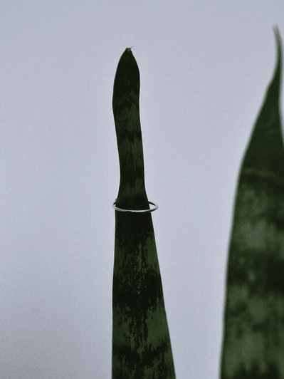 Argolla 12mm Bidu a Presión