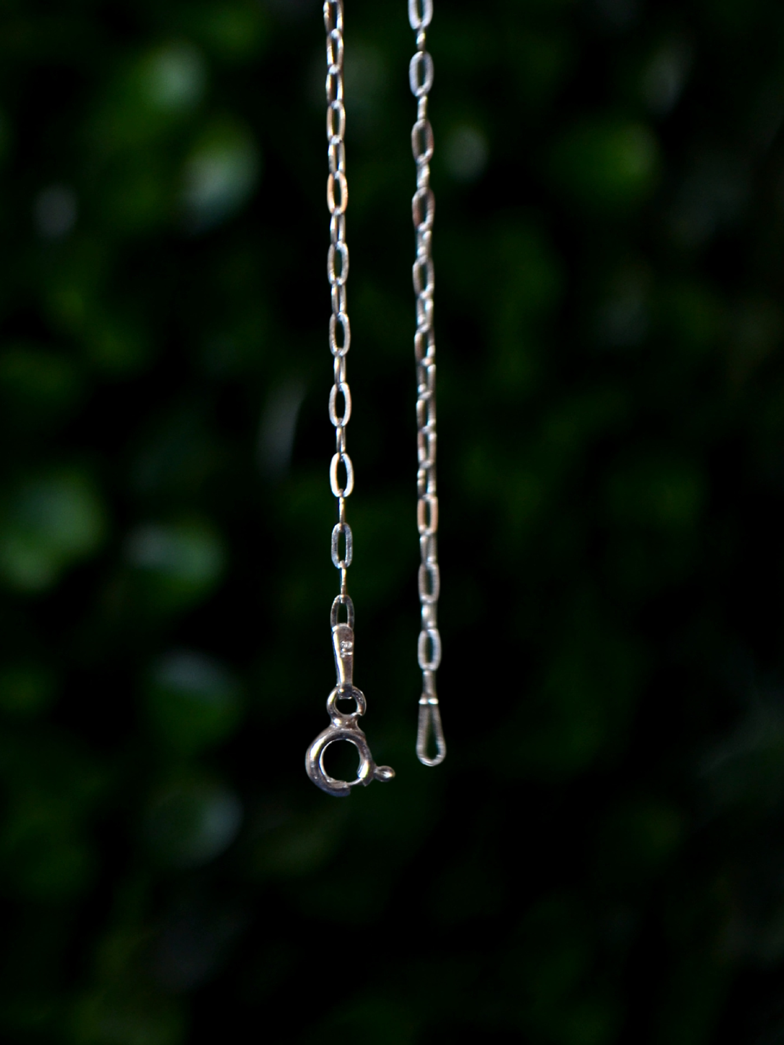 Cadena Tradicional 2