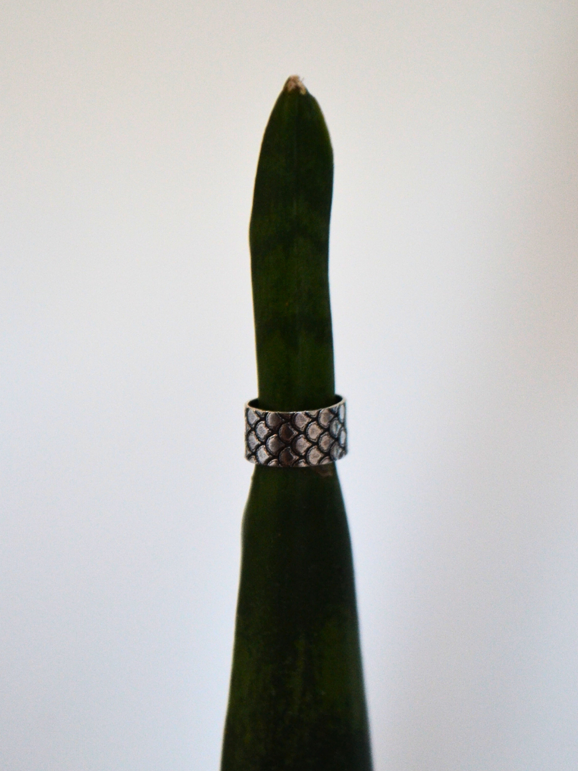 Aro a Presión Sirena 2