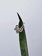 Aro Argolla Italia Septum Falso - Miniatura 1