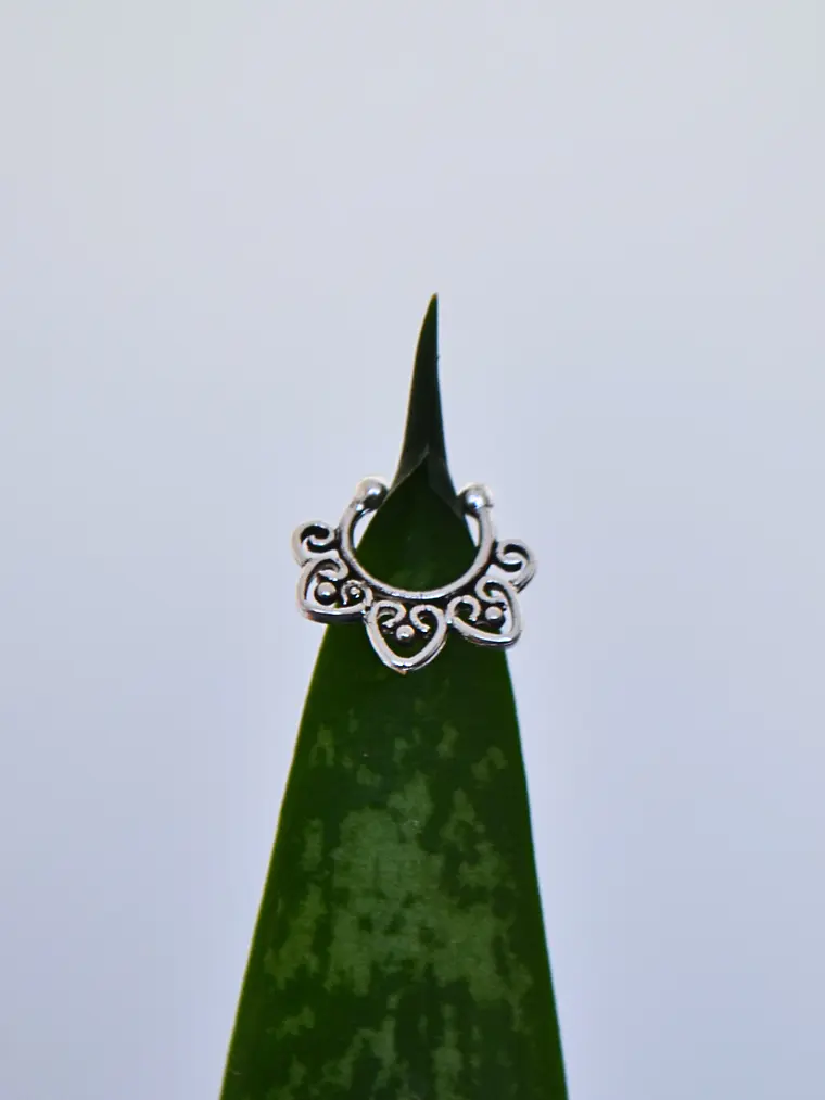 Aro Argolla Italia Septum Falso 2