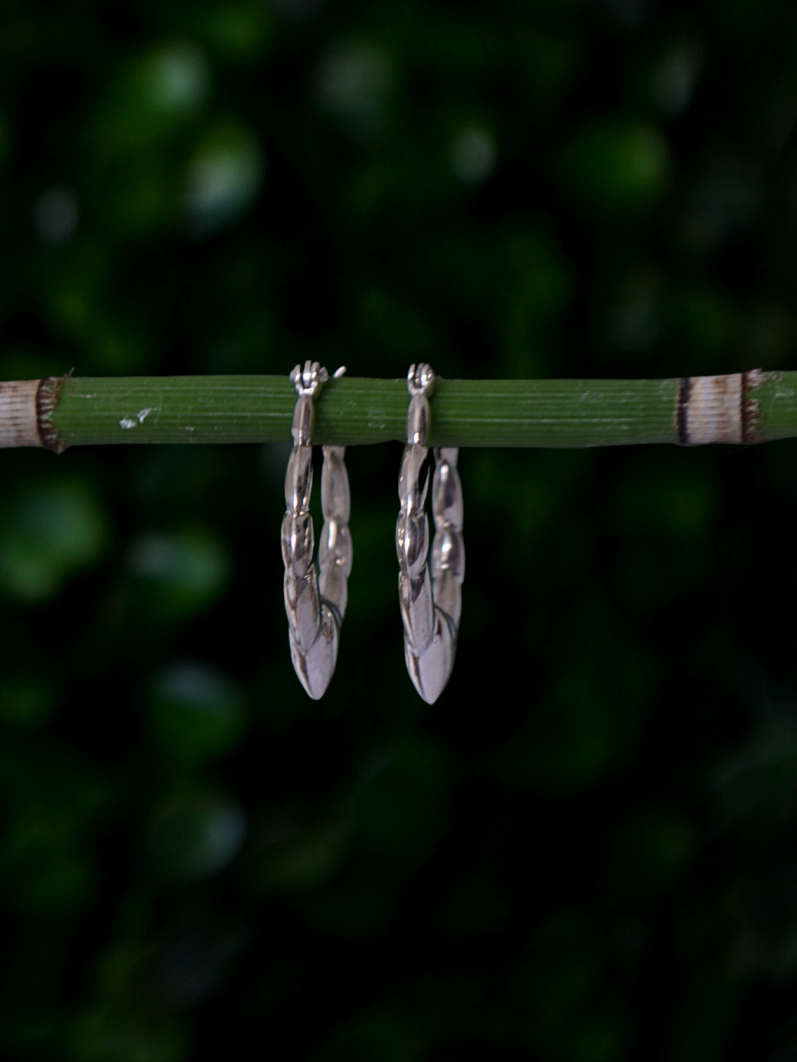 Maxi Argollas Infladas 2