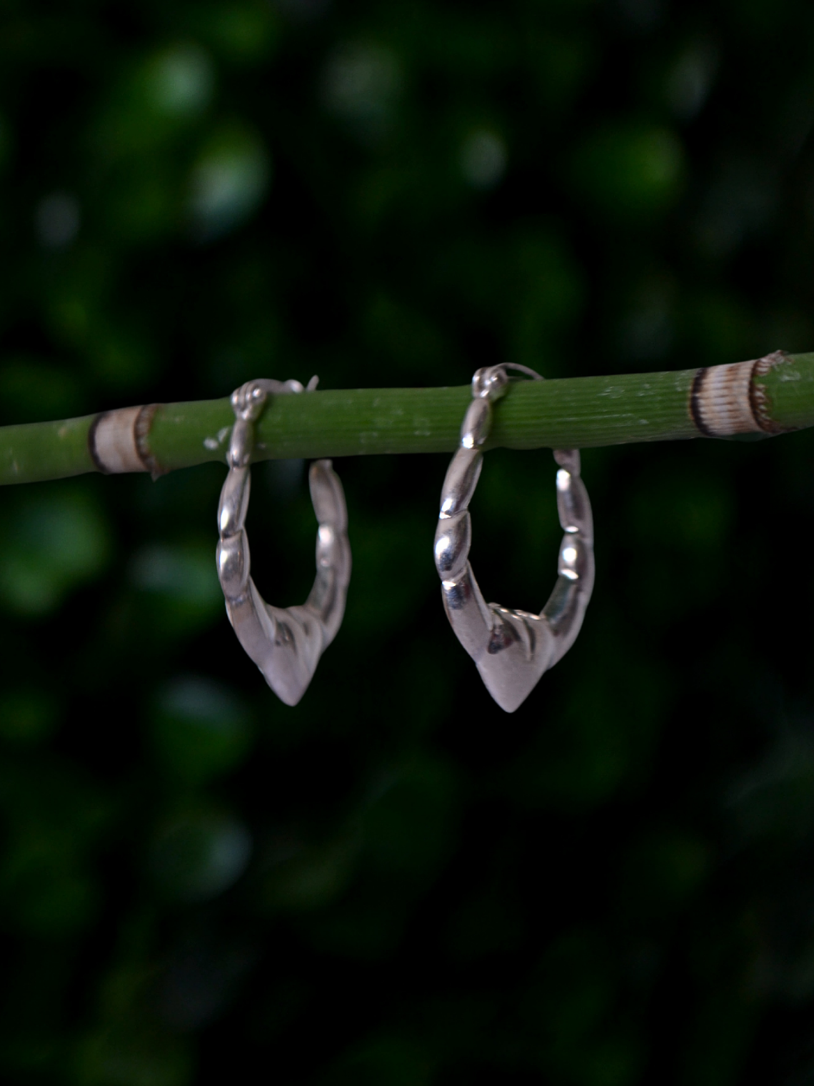 Maxi Argollas Infladas 3