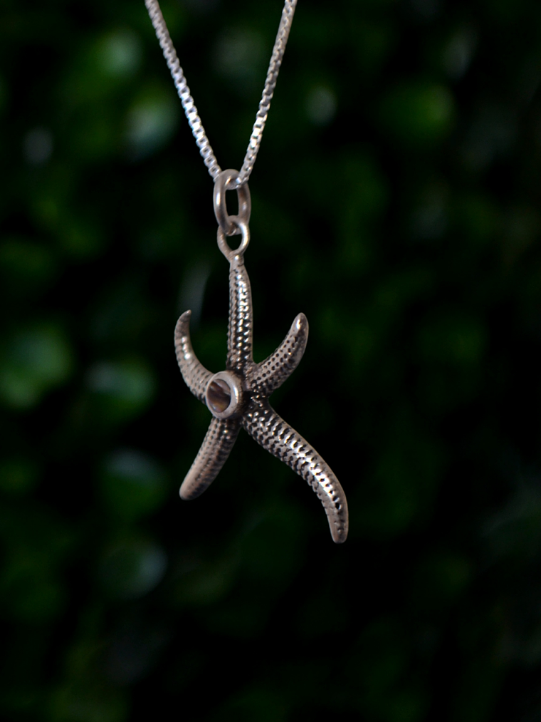 Colgante Estrella Marina y Circon 3