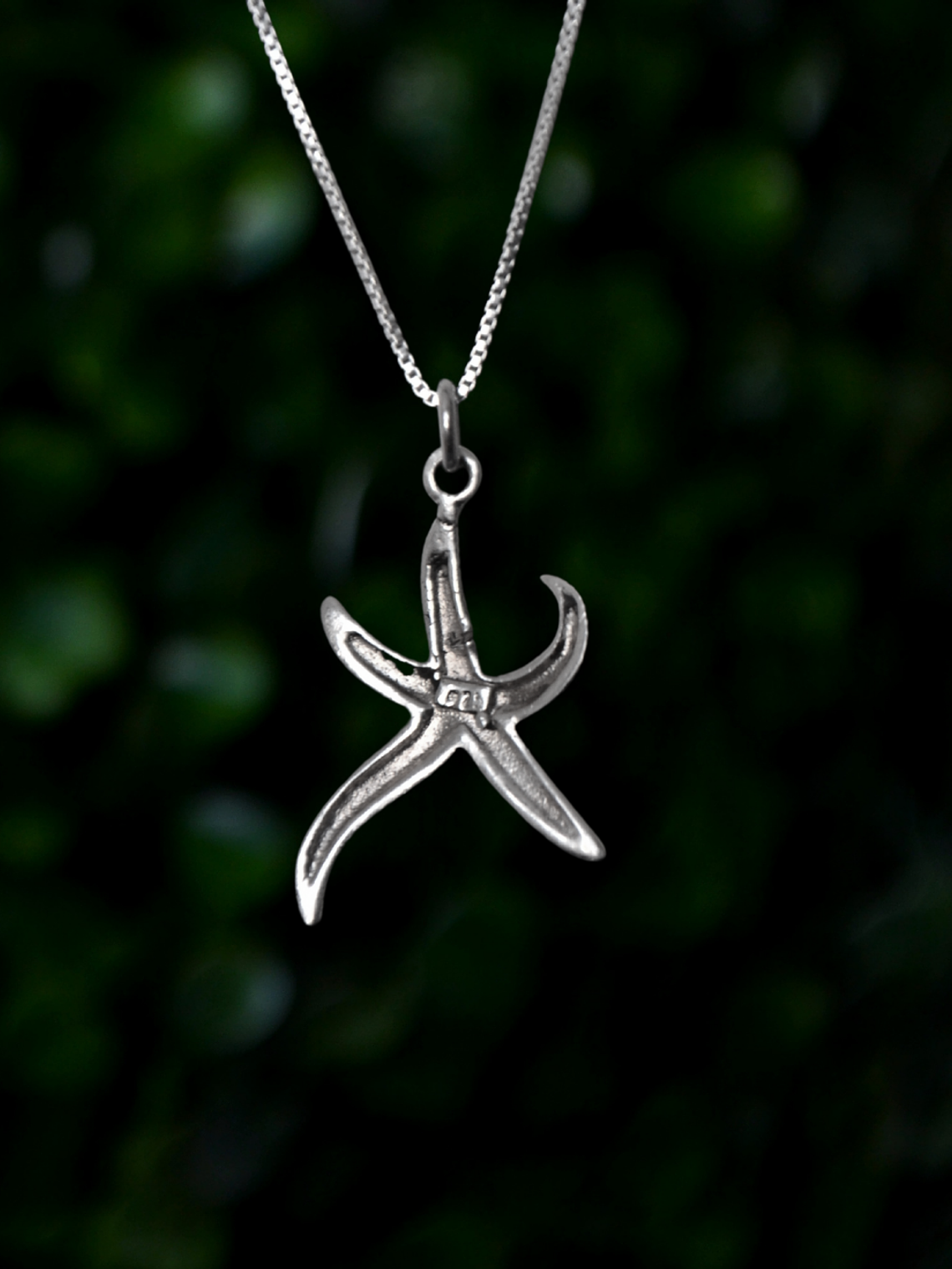 Colgante Estrella Marina y Circon 2