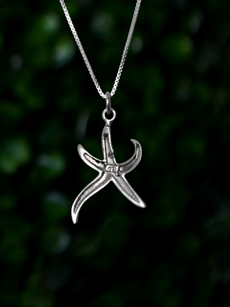 Colgante Estrella Marina y Circon 2