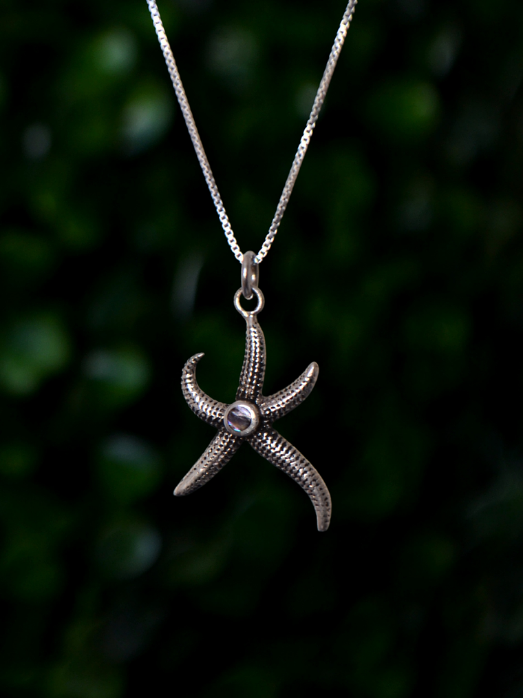 Colgante Estrella Marina y Circon 1