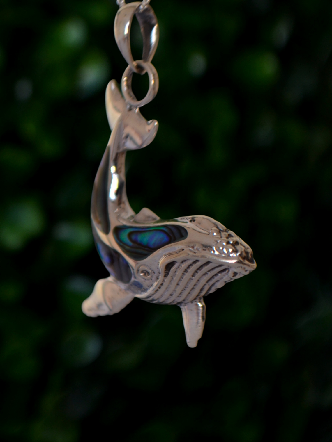 Colgante Ballena y Abalón 2