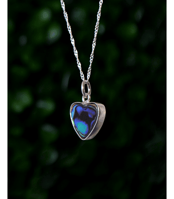 Colgante Abalone Corazon Petit