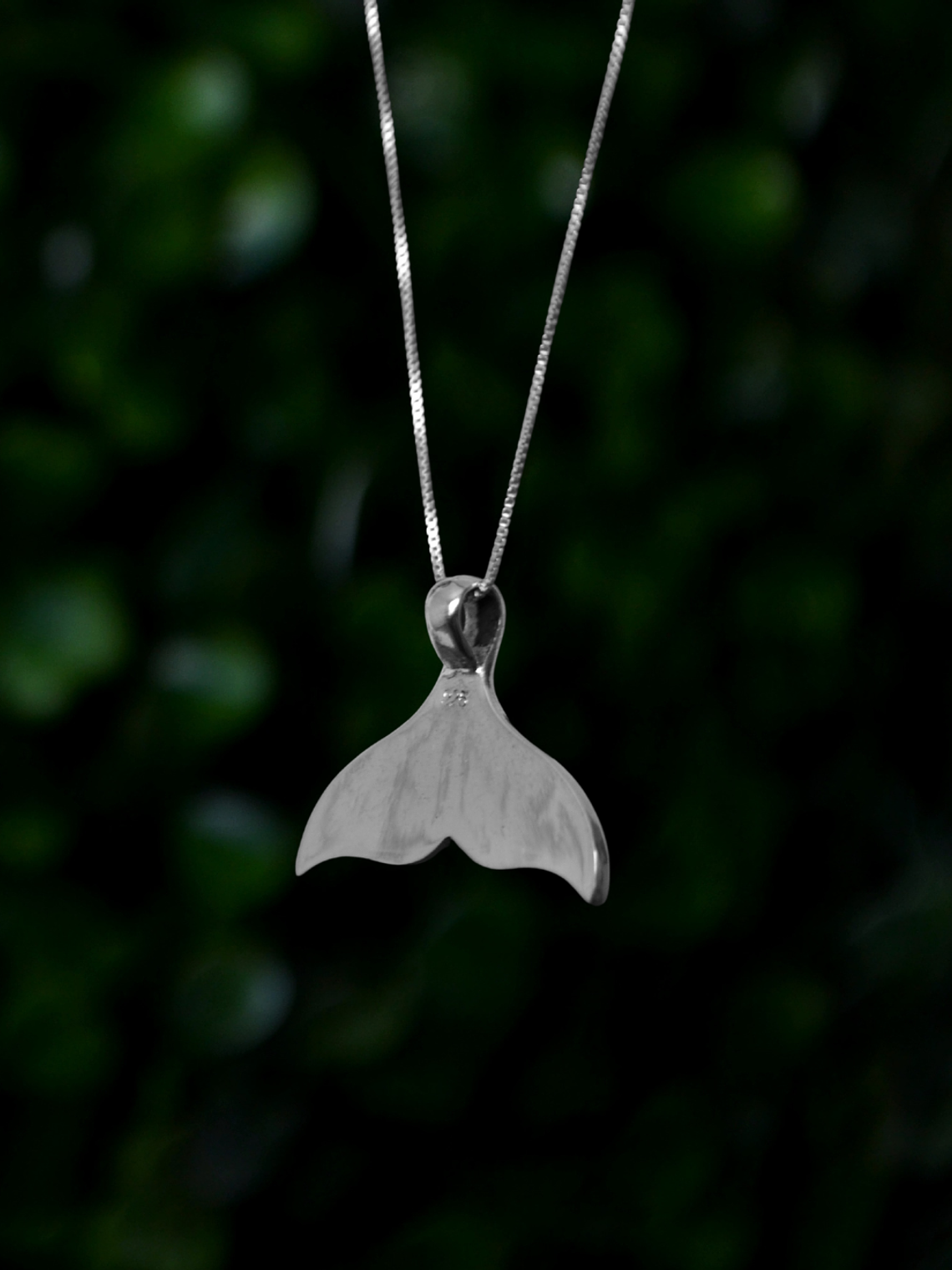 Colgante Cola de Ballena Abalón 2