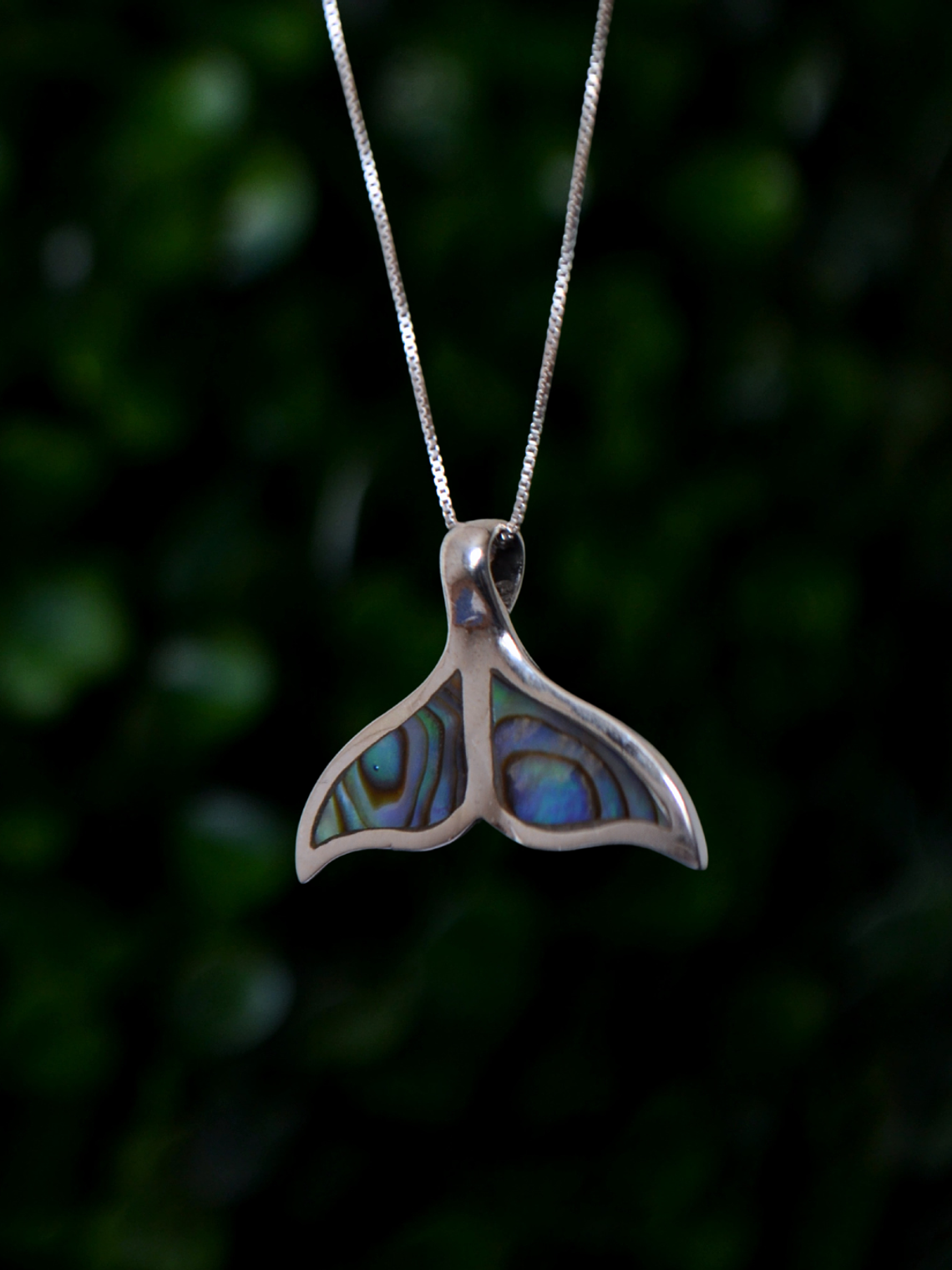 Colgante Cola de Ballena Abalón 1