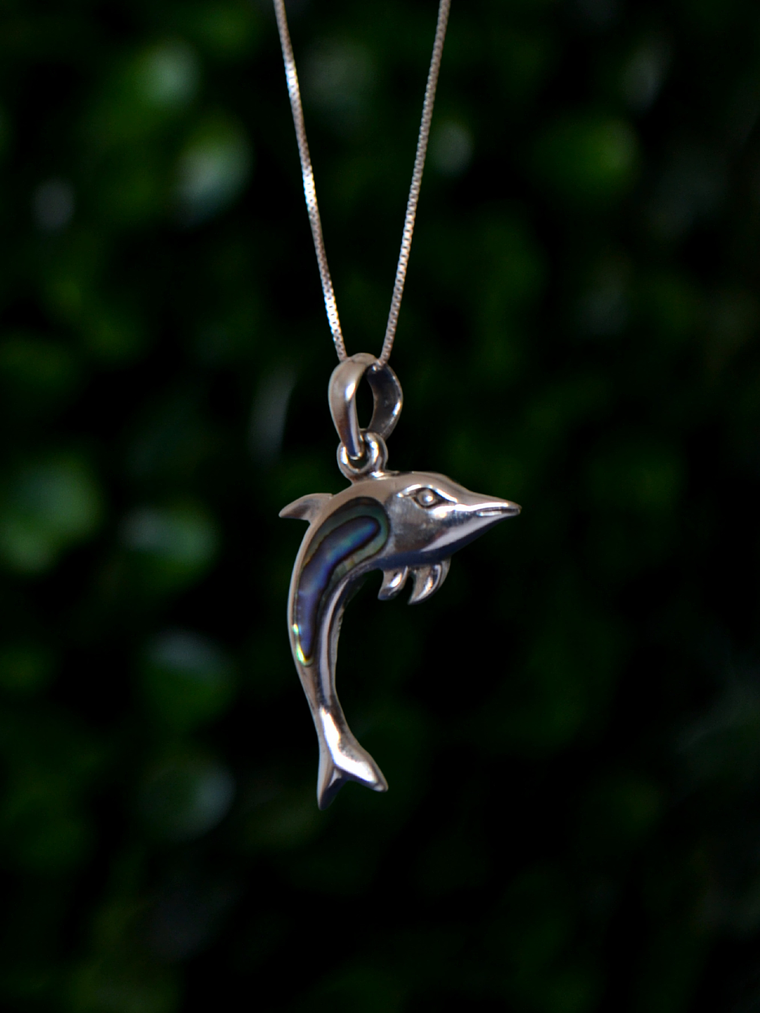 Colgante Delfín con Abalone 1