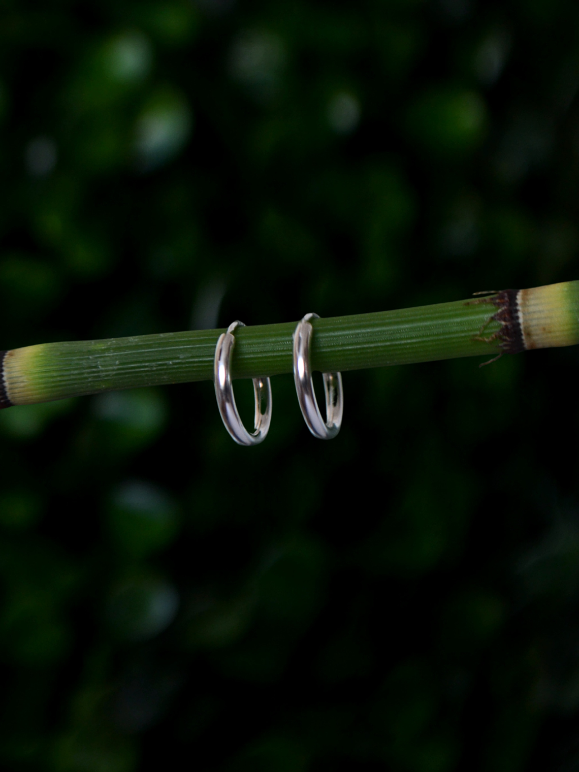 Argollas Lisas 12mm  2