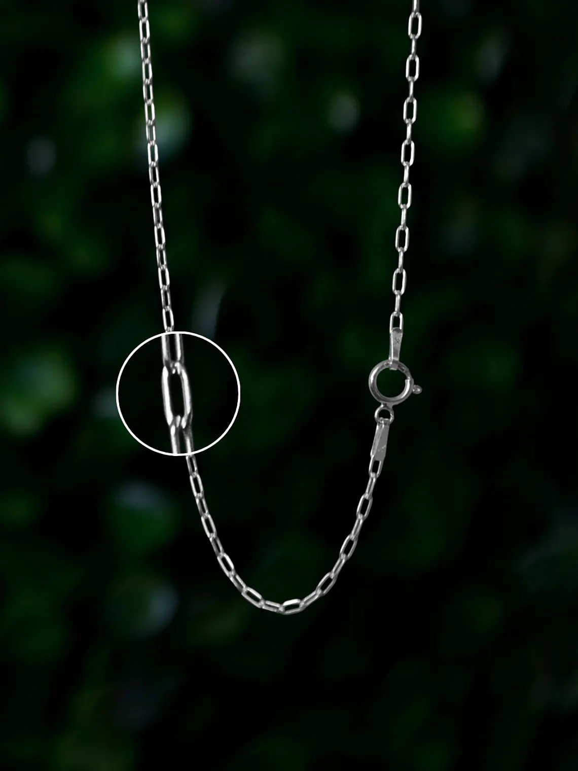 Cadena Tradicional 1