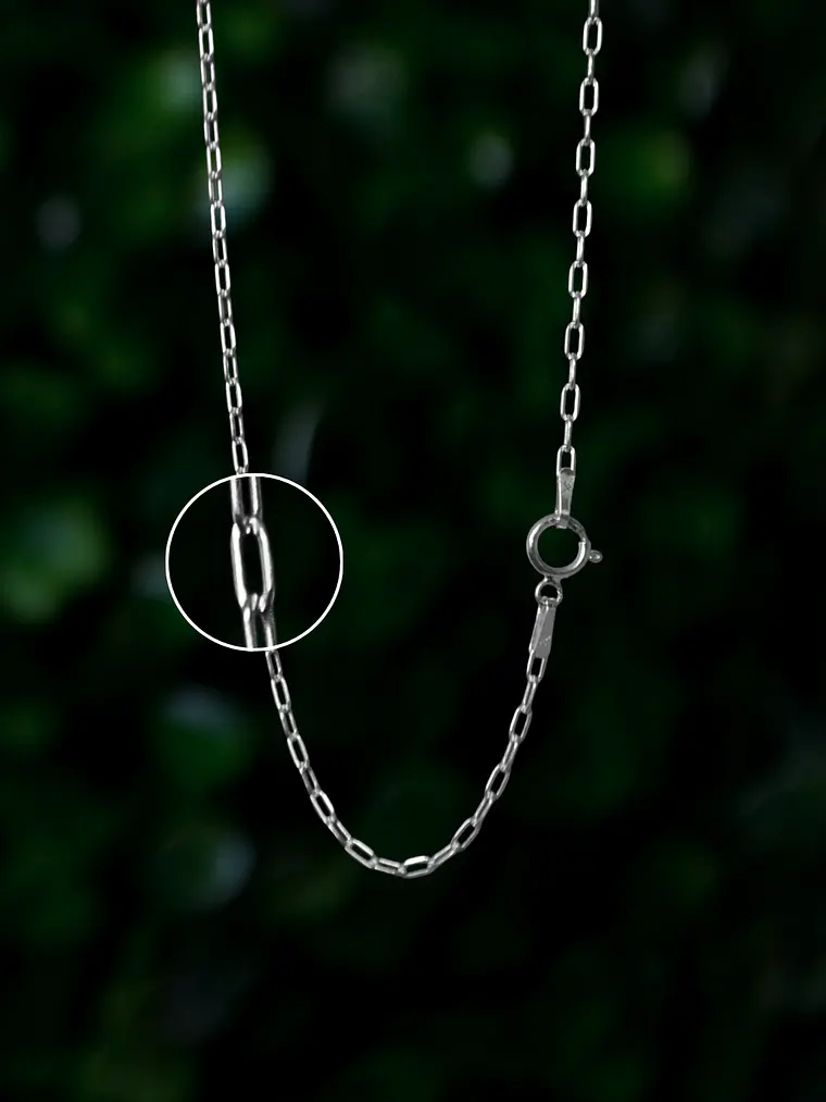Cadena Tradicional 1