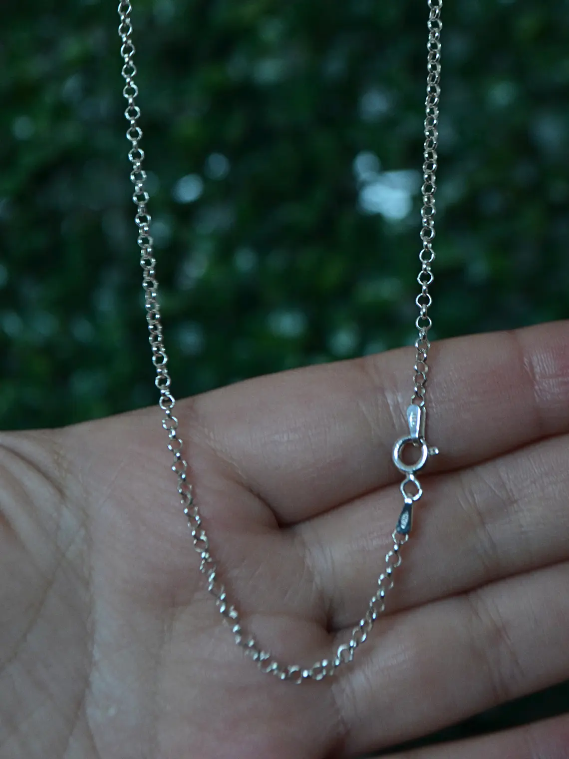 Cadena Rolo 2