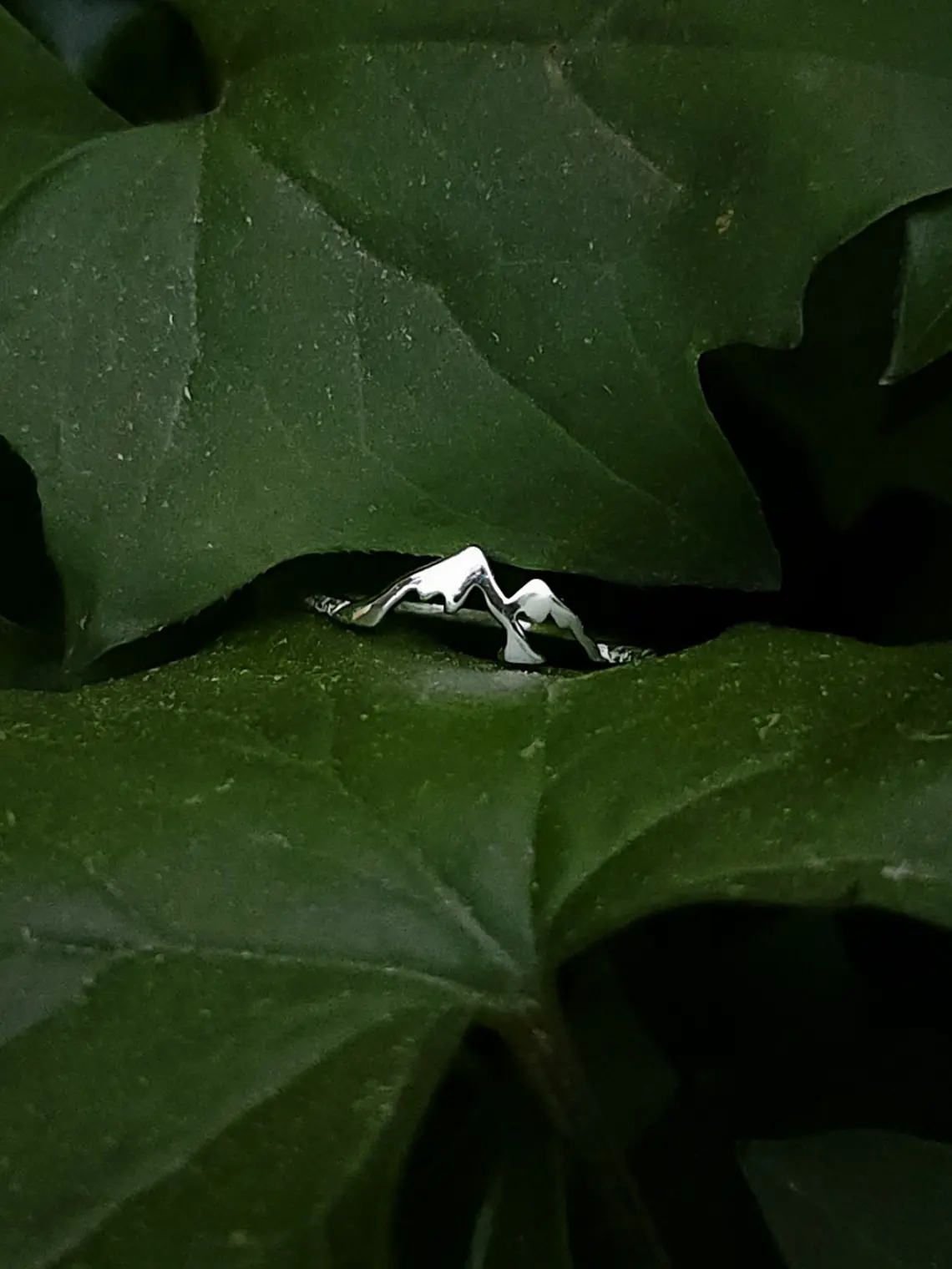 Anillo Montañas  2